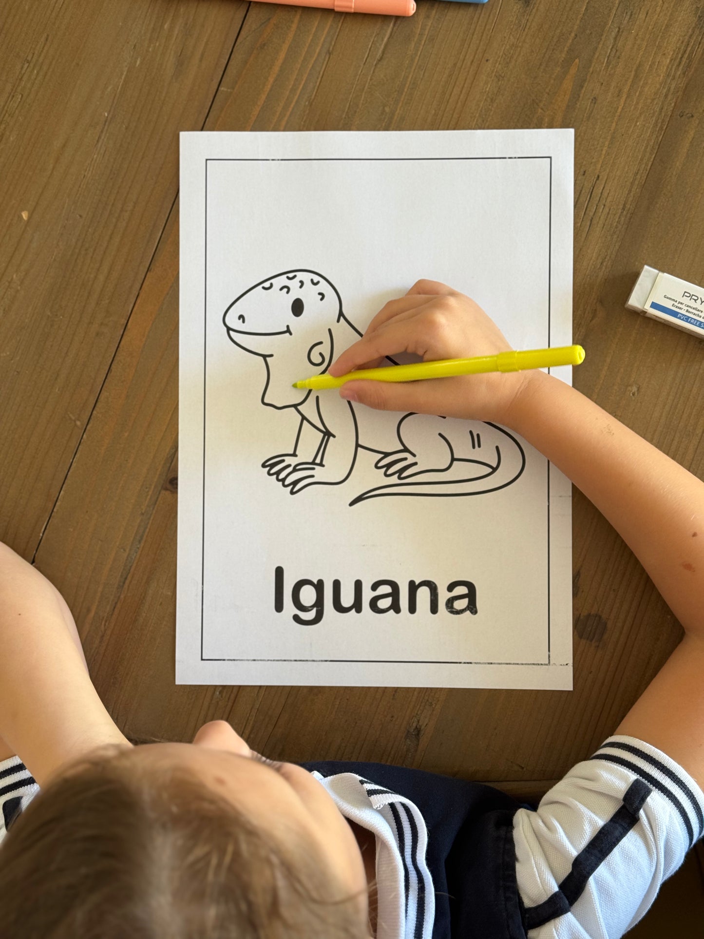 Animal Coloring Pages for Kids – 26 Printable Sheets